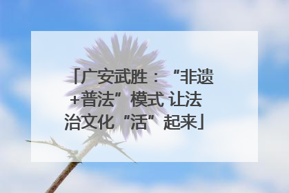 广安武胜：“非遗+普法”模式 让法治文化“活”起来