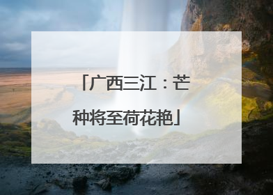 广西三江：芒种将至荷花艳