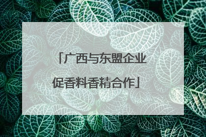 广西与东盟企业促香料香精合作