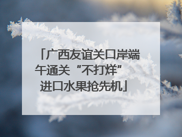 广西友谊关口岸端午通关“不打烊” 进口水果抢先机
