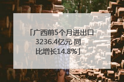 广西前5个月进出口3236.4亿元 同比增长14.8%