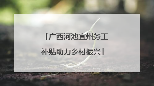 广西河池宜州务工补贴助力乡村振兴