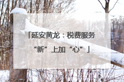 延安黄龙：税费服务“新”上加“心”