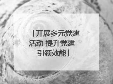 开展多元党建活动 提升党建 引领效能