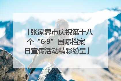 张家界市庆祝第十八个“6·9”国际档案日宣传活动精彩纷呈