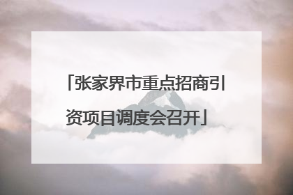 张家界市重点招商引资项目调度会召开