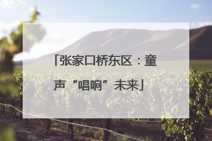 张家口桥东区：童声“唱响”未来