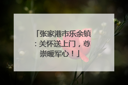张家港市乐余镇：关怀送上门，尊崇暖军心！
