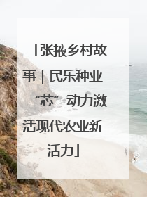 张掖乡村故事｜民乐种业“芯”动力激活现代农业新活力
