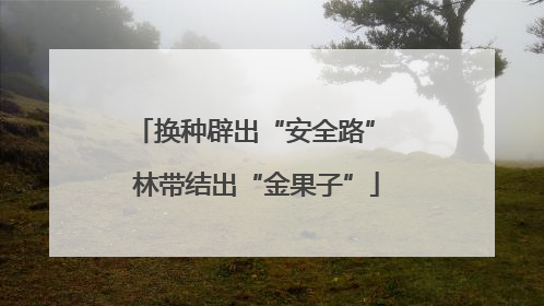 换种辟出“安全路” 林带结出“金果子”