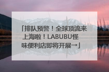 排队预警！全球顶流来上海啦！LABUBU怪味便利店即将开展→