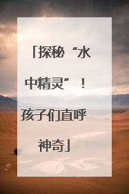 探秘“水中精灵”！孩子们直呼神奇