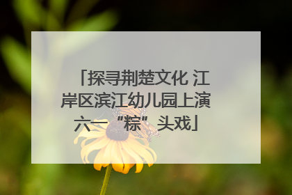 探寻荆楚文化 江岸区滨江幼儿园上演六一“粽”头戏