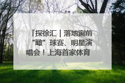 探徐汇｜落地窗前“瞰”球赛、明星演唱会！上海首家体育特色高端酒店亮相