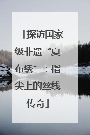 探访国家级非遗“夏布绣”：指尖上的丝线传奇
