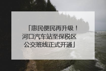 惠民便民再升级！河口汽车站至保税区公交班线正式开通