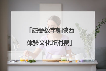 感受数字新陕西 体验文化新消费