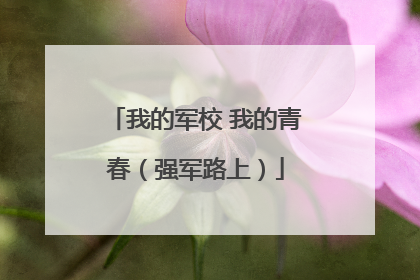 我的军校 我的青春（强军路上）
