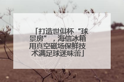 打造世俱杯“球景房”，海信冰箱用真空磁场保鲜技术满足球迷味蕾