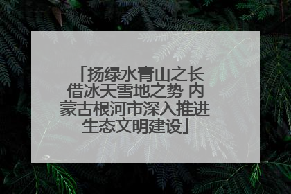 扬绿水青山之长 借冰天雪地之势 内蒙古根河市深入推进生态文明建设