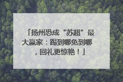 扬州恐成“苏超”最大赢家：踢到哪免到哪，回礼更惊艳！