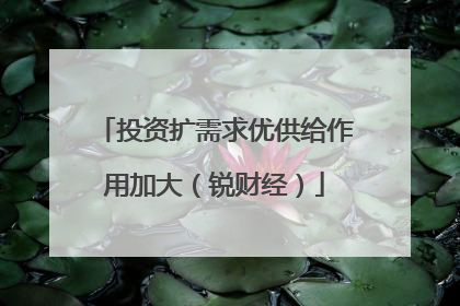 投资扩需求优供给作用加大（锐财经）