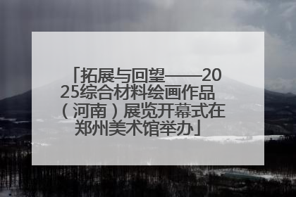 拓展与回望——2025综合材料绘画作品（河南）展览开幕式在郑州美术馆举办