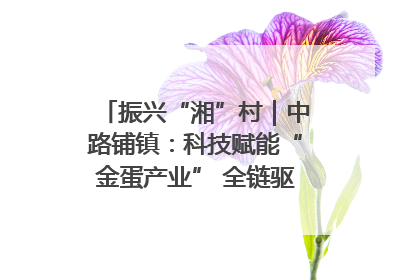 振兴“湘”村｜中路铺镇：科技赋能“金蛋产业” 全链驱动乡村振兴