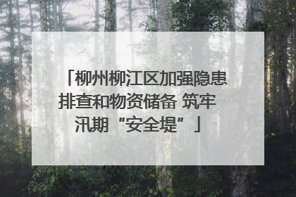 柳州柳江区加强隐患排查和物资储备 筑牢汛期“安全堤”