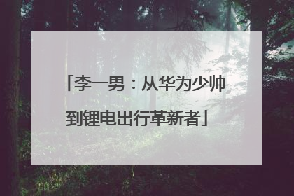 李一男：从华为少帅到锂电出行革新者