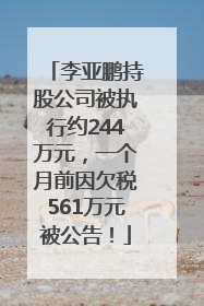 李亚鹏持股公司被执行约244万元，一个月前因欠税561万元被公告！