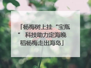 杨梅树上挂“宝瓶” 科技助力定海晚稻杨梅走出海岛