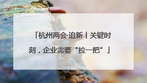 杭州两会·追新丨关键时刻，企业需要“拉一把”