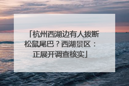 杭州西湖边有人拔断松鼠尾巴？西湖景区：正展开调查核实