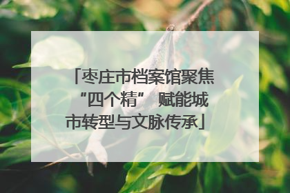 枣庄市档案馆聚焦“四个精” 赋能城市转型与文脉传承