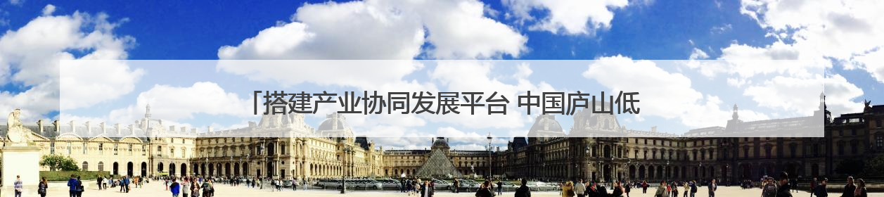 搭建产业协同发展平台 中国庐山低空经济产业联盟成立（组图｜视频）