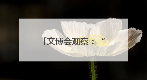 文博会观察：“科技+文化”AI应用场景吸睛