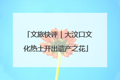 文旅快评｜大汶口文化热土开出遗产之花
