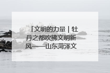 文明的力量｜牡丹之都吹拂文明新风——山东菏泽文明创建一线见闻