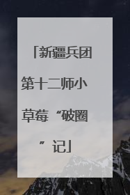新疆兵团第十二师小草莓“破圈”记