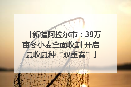 新疆阿拉尔市：38万亩冬小麦全面收割 开启夏收夏种“双重奏”