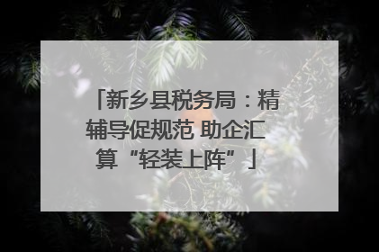 新乡县税务局：精辅导促规范 助企汇算“轻装上阵”