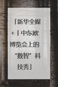 新华全媒+丨中东欧博览会上的“数智”科技秀