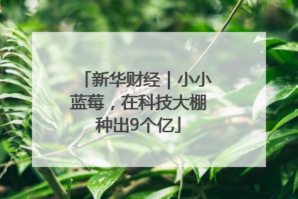 新华财经｜小小蓝莓，在科技大棚种出9个亿