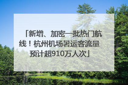 新增、加密一批热门航线！杭州机场暑运客流量预计超910万人次