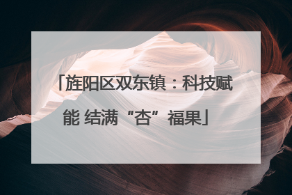 旌阳区双东镇：科技赋能 结满“杏”福果