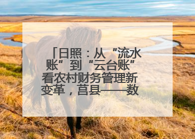 日照：从“流水账”到“云台账”看农村财务管理新变革，莒县——数字赋能激活乡村振兴“一池春水”