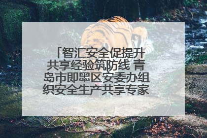 智汇安全促提升 共享经验筑防线 青岛市即墨区安委办组织安全生产共享专家现场观摩学习活动
