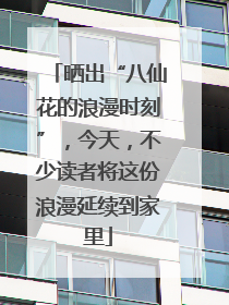 晒出“八仙花的浪漫时刻”，今天，不少读者将这份浪漫延续到家里