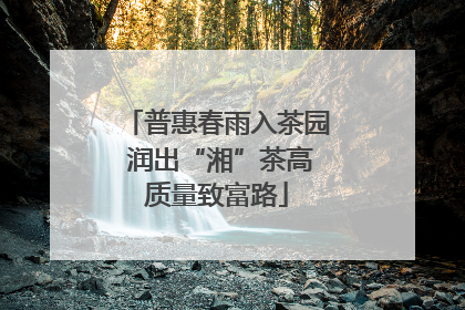 普惠春雨入茶园 润出“湘”茶高质量致富路
